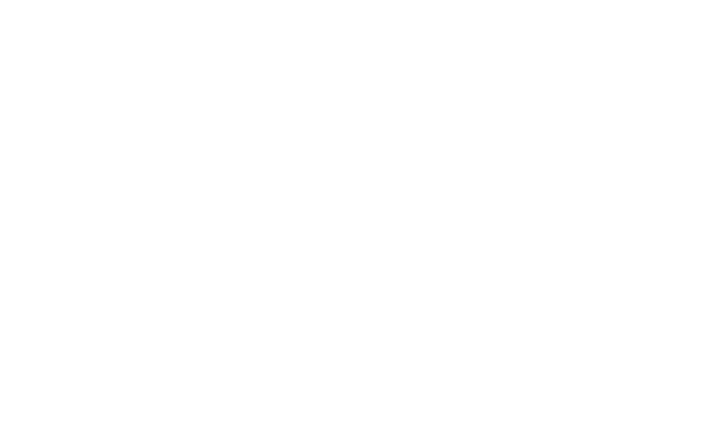 Global Project Support - design, manufacturing, shipment and installation support